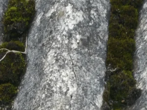 Hair line cracks and delaminating asbestos cement sheet